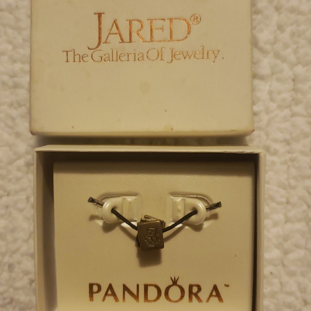 NWB Pandora charm